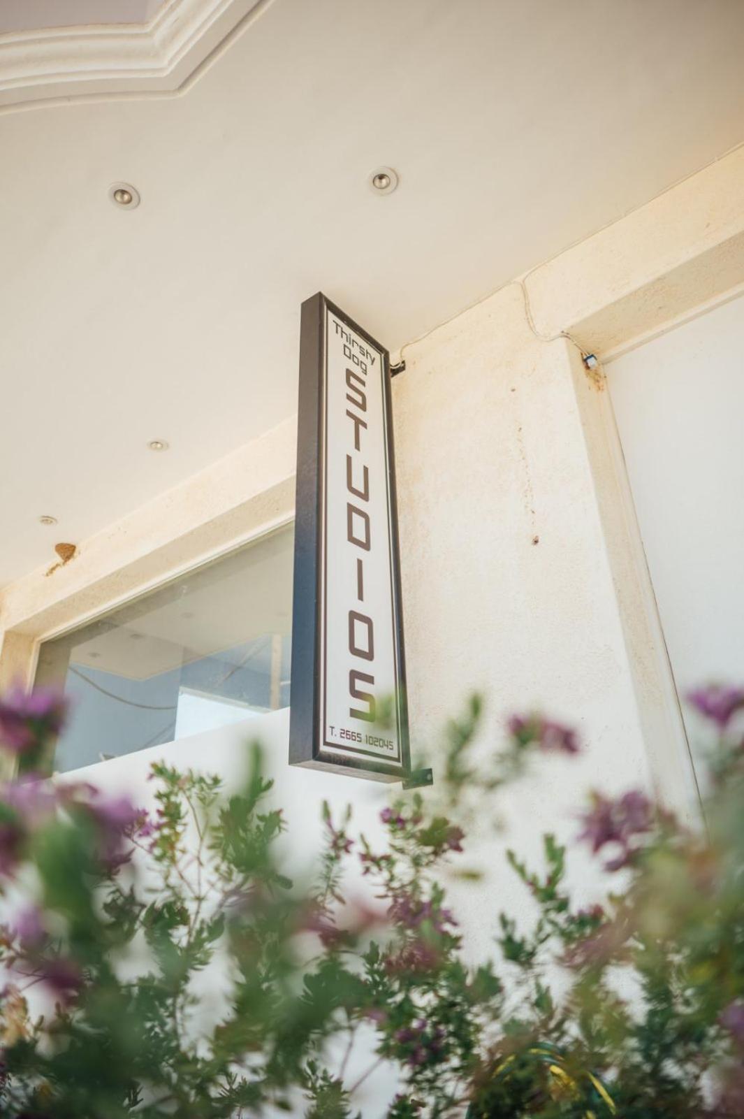 Thirsty Dog Urban Port Studios Igoumenitsa Exterior photo